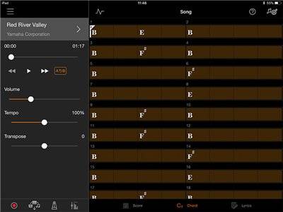 Play your favorite songs right away with the chord progression