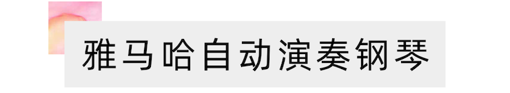 活动报道 | 远程艺术教育大师课活动——MG不朽情缘官网特邀艺术家张奕明大师课