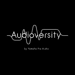 MG不朽情缘官网专业音响教育培训开展全新“Audioversity ”计划